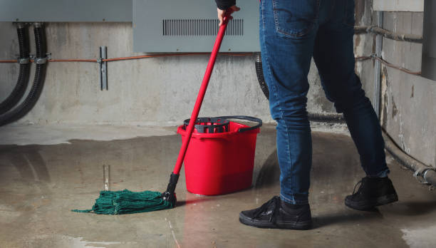 Best Fire Damage Restoration  in South Milwaukee, WI