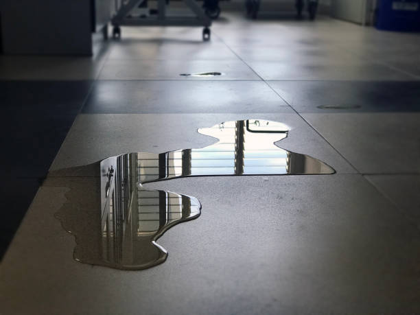 Best Commercial water damage restoration  in South Milwaukee, WI