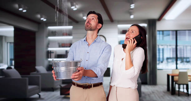 Best Basement water damage restoration  in South Milwaukee, WI