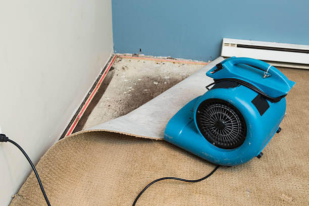 Best Water damage cleanup near me  in South Milwaukee, WI